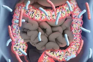 Heres how COVID-19 patients can overcome gastrointestinal complications Heres how COVID-19 patients can overcome gastrointestinal complications