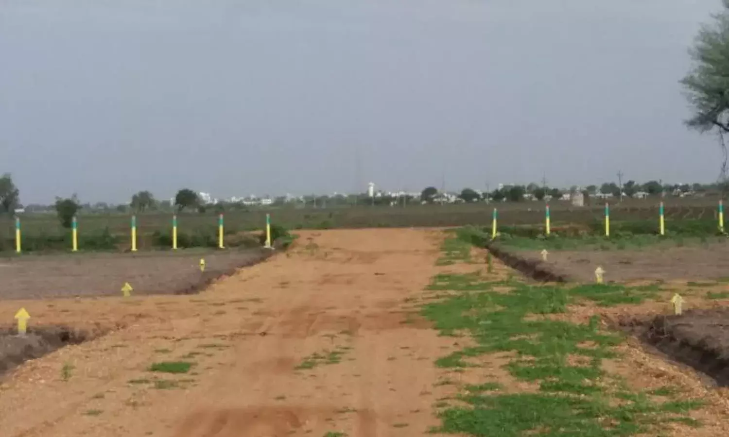 Land grabbing: Police to prepare database of habitual offenders in Vizag