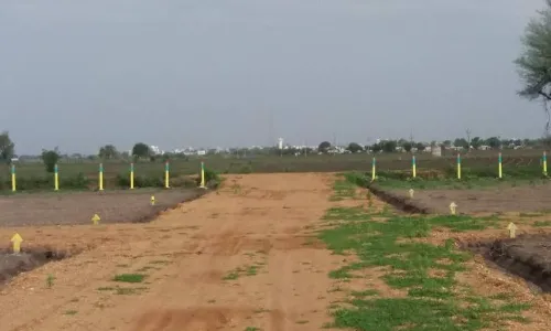 Land grabbing: Police to prepare database of habitual offenders in Vizag