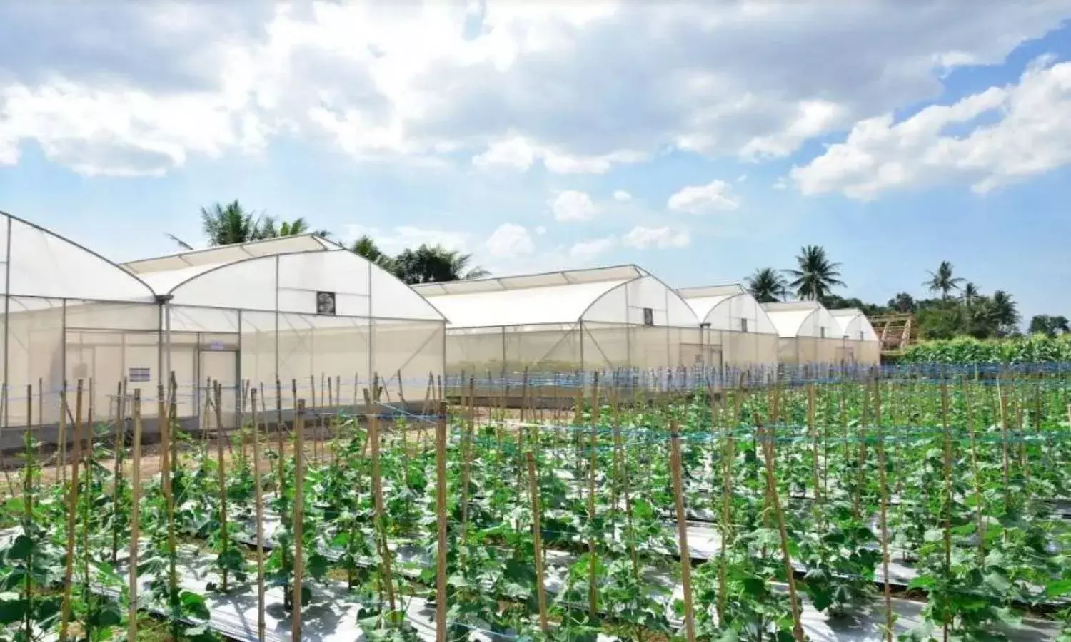 Climate change: WFP, ICRISAT join hands to improve food security in India