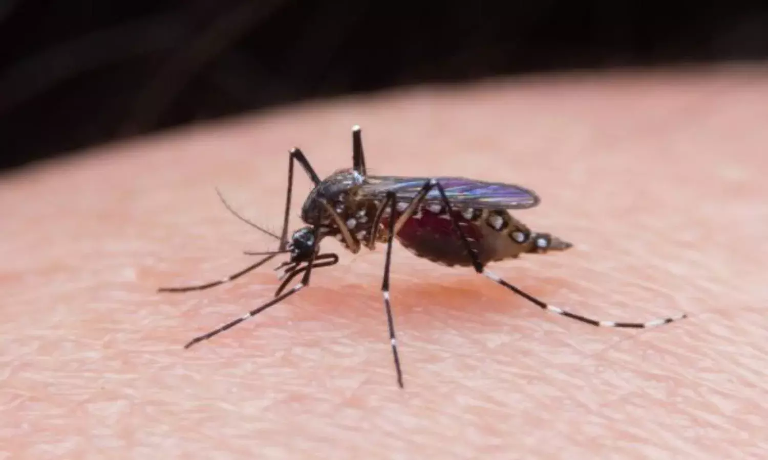 Vizag sees rise in vector-borne diseases reporting 1,383 cases