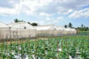 Climate change: WFP, ICRISAT join hands to improve food security in India Climate change: WFP, ICRISAT join hands to improve food security in India