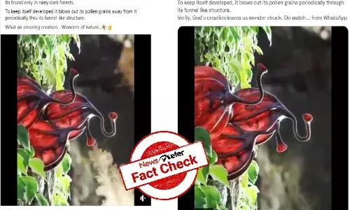 Fact Check: Is this the video of medicinal plant Oodhu Paavai from Tamil Nadu?