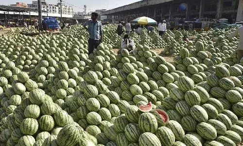 Telangana HC restrains government from shifting Gaddiannaram fruit market till Friday