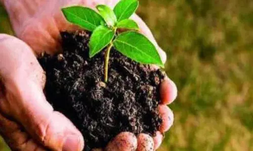 `Haritha Nidhi: Elected representatives, students, employees to contribute for `Green Telangana