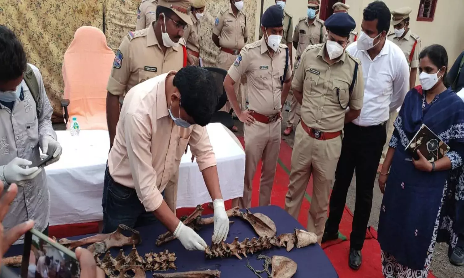 Tiger killed in Mulugu forest, four poachers arrested; skin, nails seized