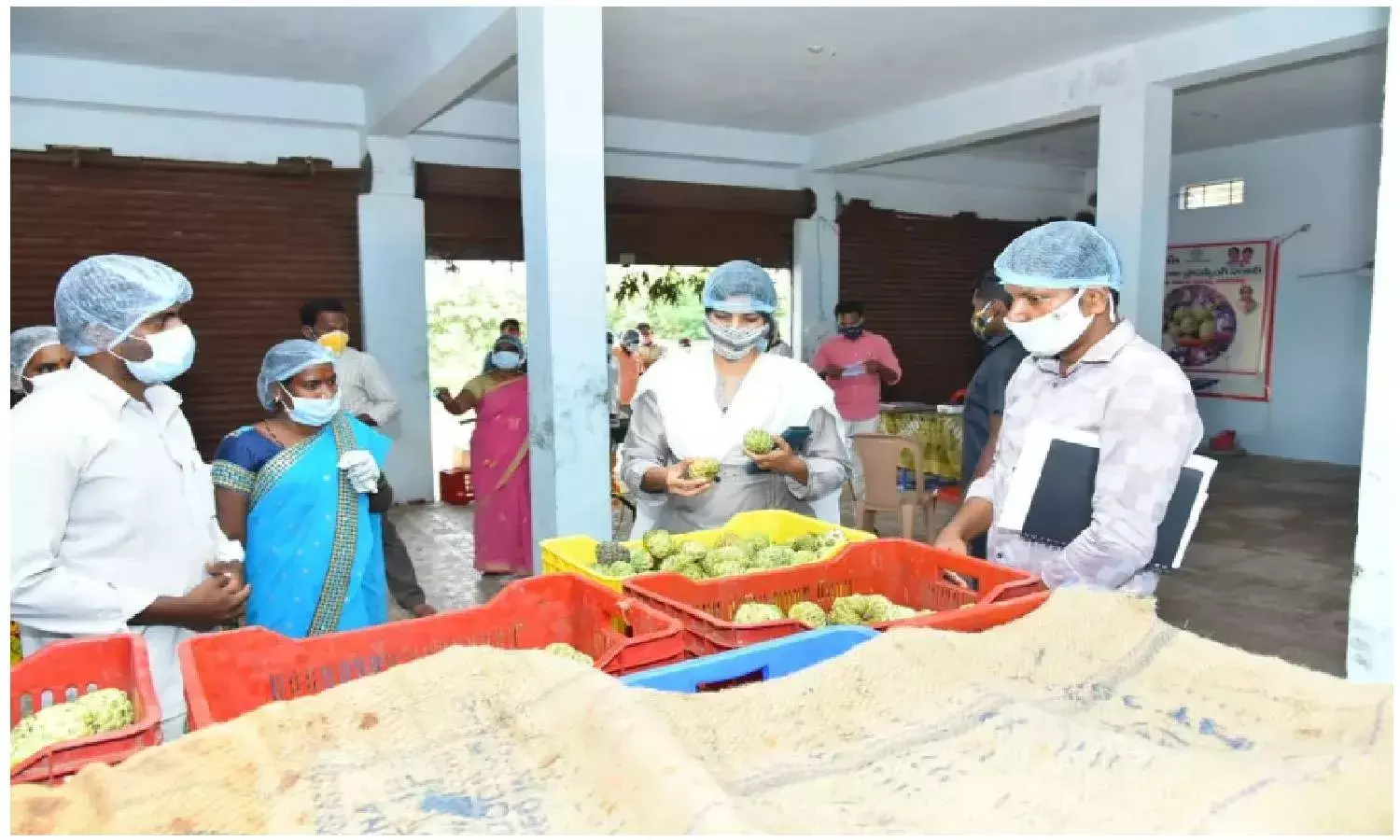 A fruit-ful initiative: Custard apple processing unit in Narayanpet empowering local women