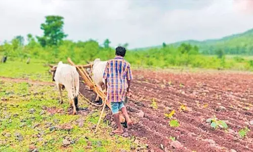Podu land issue: Telangana to accept claims after Dasara, allow one-time settlement
