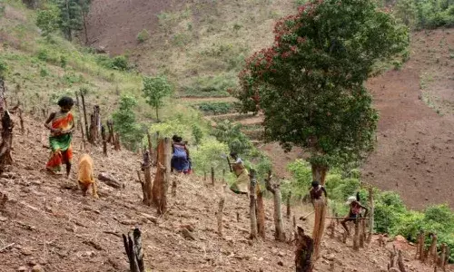 KCR bats for protecting states forests from encroachment; says Podu lands issue will be settled by Oct