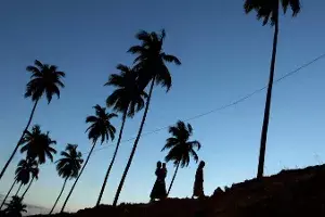 Indigenous groups of Andaman and Nicobar more Vulnerable to COVID-19: CCMB Indigenous groups of Andaman and Nicobar more Vulnerable to COVID-19: CCMB