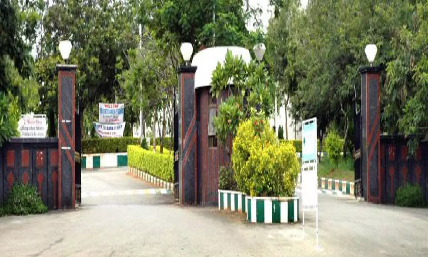 `Ego4D:  IIIT Hyderabad contributes to one-of-its-kind dataset on first-person computer vision