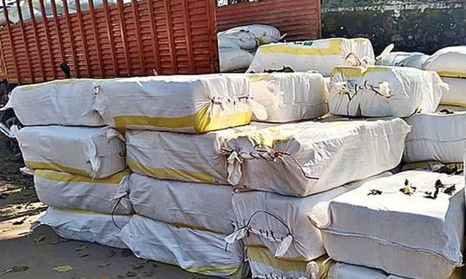 War against drugs: Andhra launches major crackdown against ganja smuggling gangs