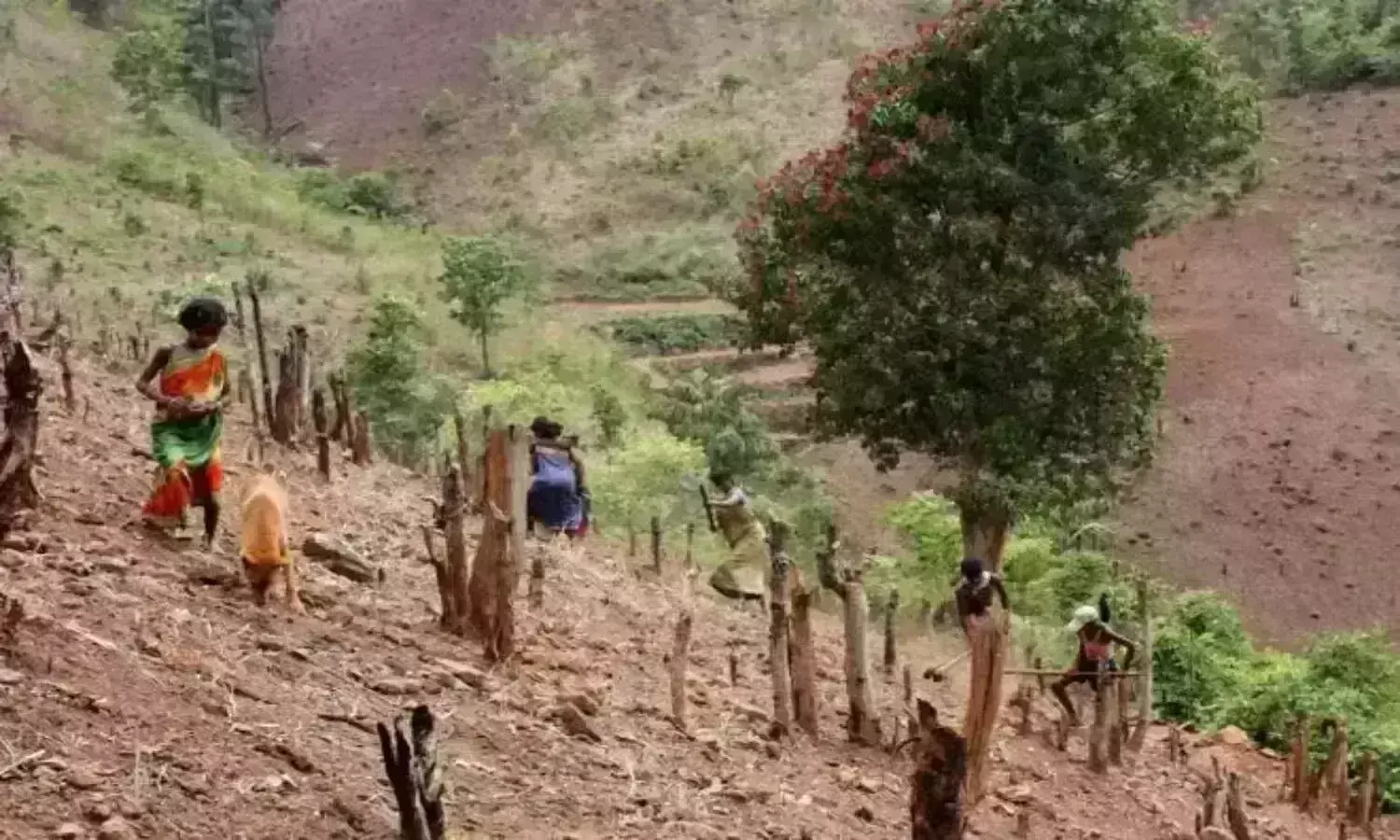 Podu land issue: KCR to chair meeting on Oct 23, resolve issue