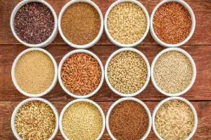 ICRISAT-led study shows millets consumption can combat anemia ICRISAT-led study shows millets consumption can combat anemia