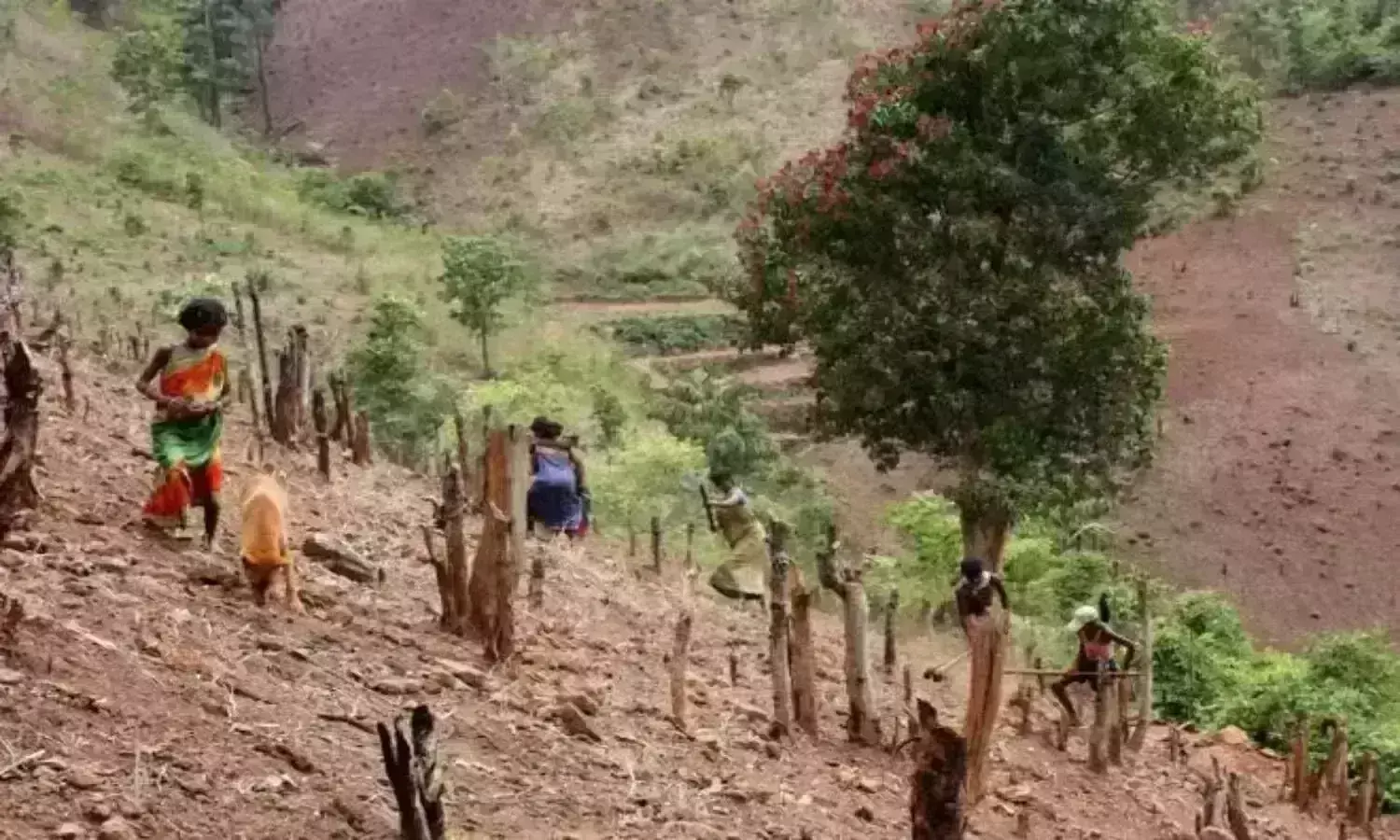 Podu land issue: KCR to chair meeting on Oct 23, resolve issue