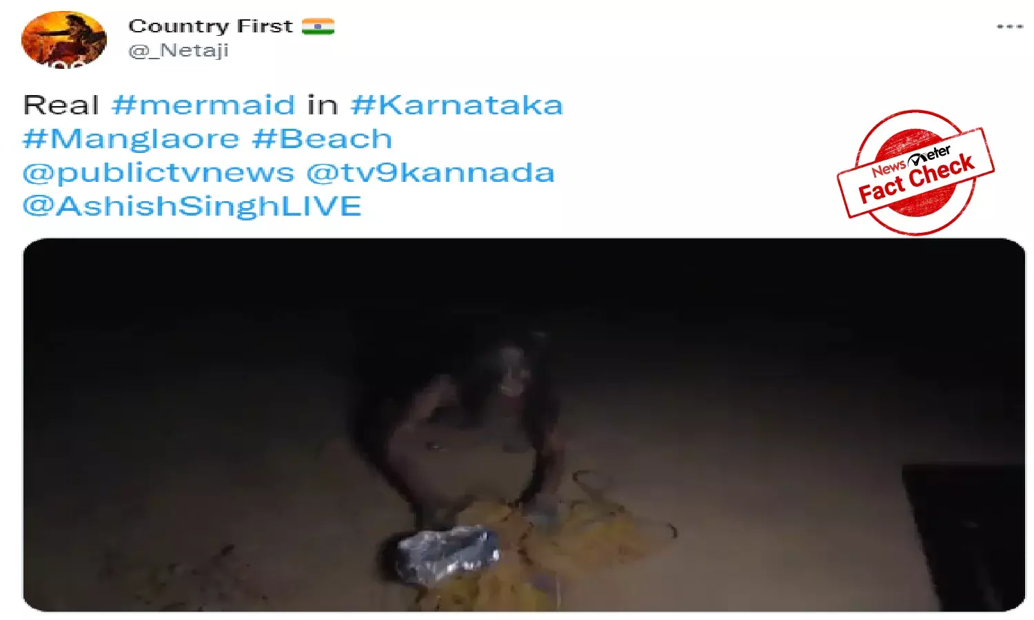 FACT CHECK: Is the story of Mangalores mermaid real?