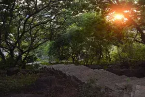 Come, take a peaceful yet adventurous stroll in Ficus Garden at Jubilee Hills Come, take a peaceful yet adventurous stroll in Ficus Garden at Jubilee Hills