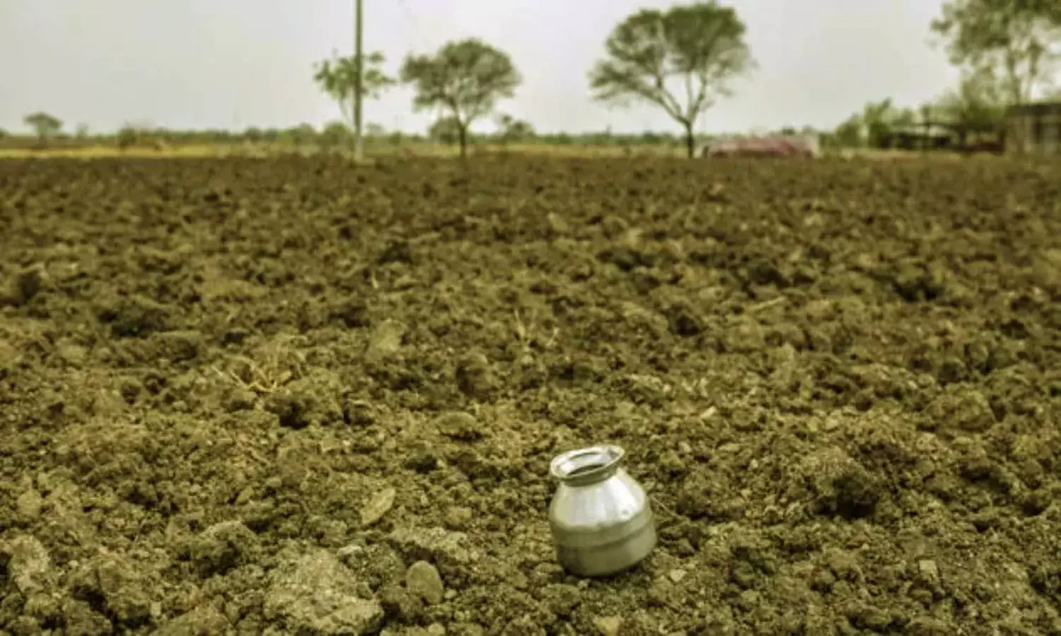 Andhra ranks third in farmer suicides: NCRB report