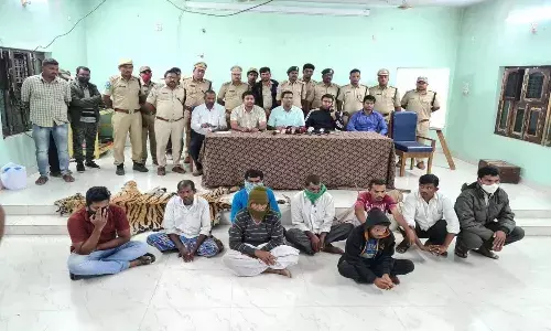 Komaram Bheem Asifabad: Tiger poaching case solved; 8 held, skin, jaws seized
