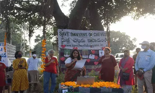 `Pachani chettu nenu raa: Lighting diyas of hope for banyans of Chevalla