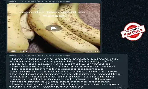 Fact Check: Beware! Dont believe in the viral video of poisonous bananas