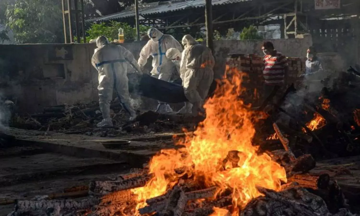 Step-by-step: How to apply for ex-gratia for Covid victims