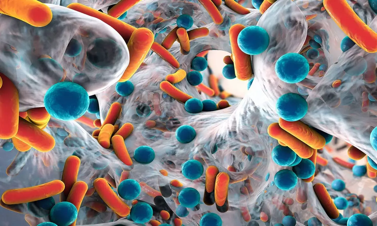 Differences in gut bacterial compositions in Indian, Western populations: Study