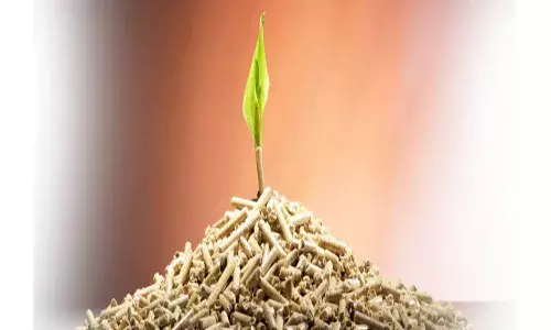 CBI books Ankit Biofuels Hyd promoters for cheating SBI Rs 14 Cr