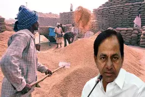 Opinion: Telangana being punished for performing well in paddy production Opinion: Telangana being punished for performing well in paddy production