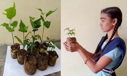 `Dreams Unlimited:  T-Works, GE Appliances to adopt ZPHS students innovation, manufacture eco-friendly bio-pots