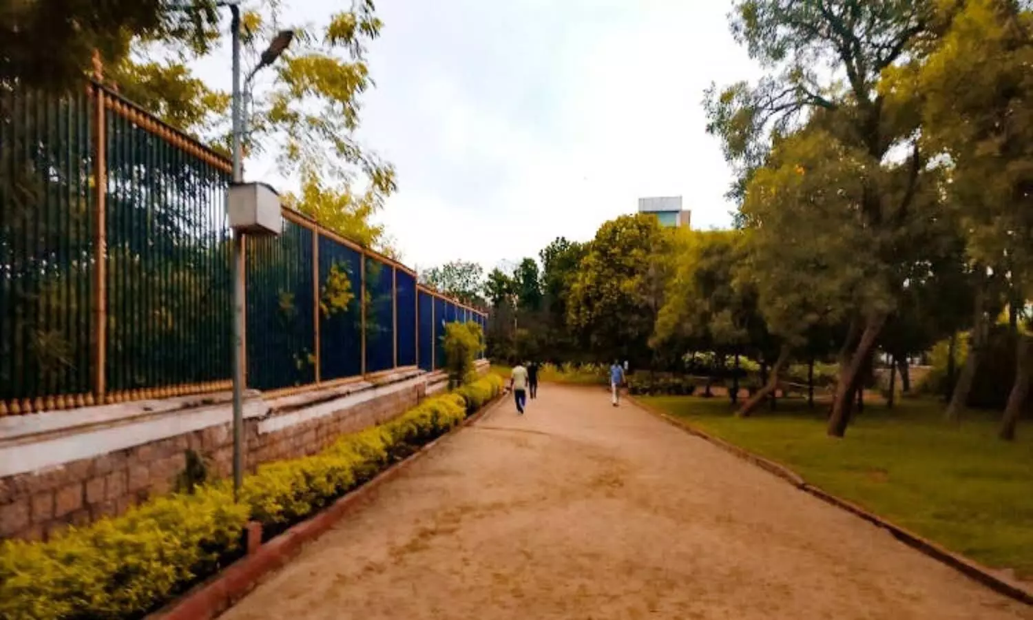 Hyderabad: How safe is KBR Park for walkers, fitness enthusiasts