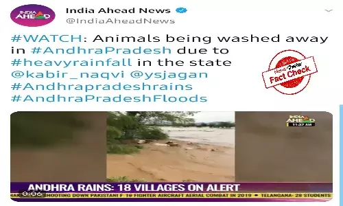 Fact Check: Video of cattle being washed away by floodwaters is from Mexico, not Andhra Pradesh