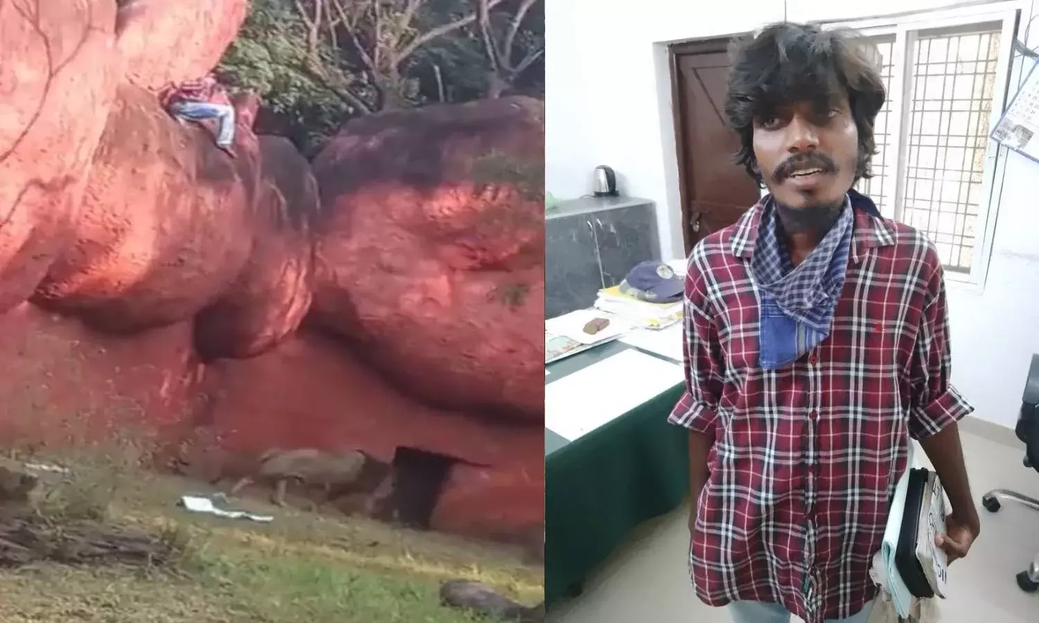 Watch: Man caught climbing walls of Hyderabad zoos African lion enclosure