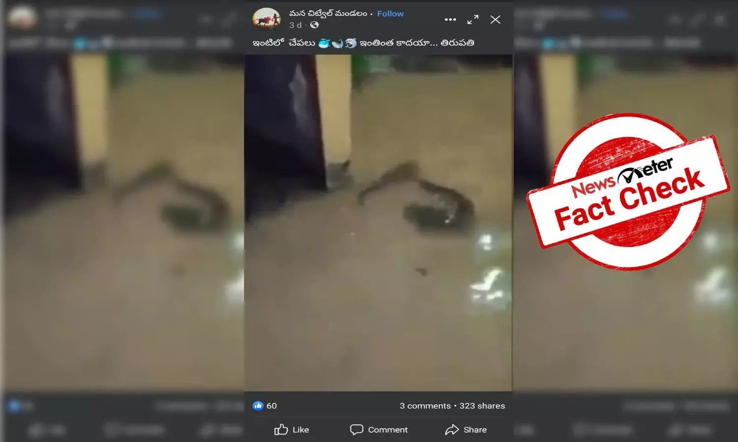 Fact Check: Old fish video is from Malaysia, not Tirupati