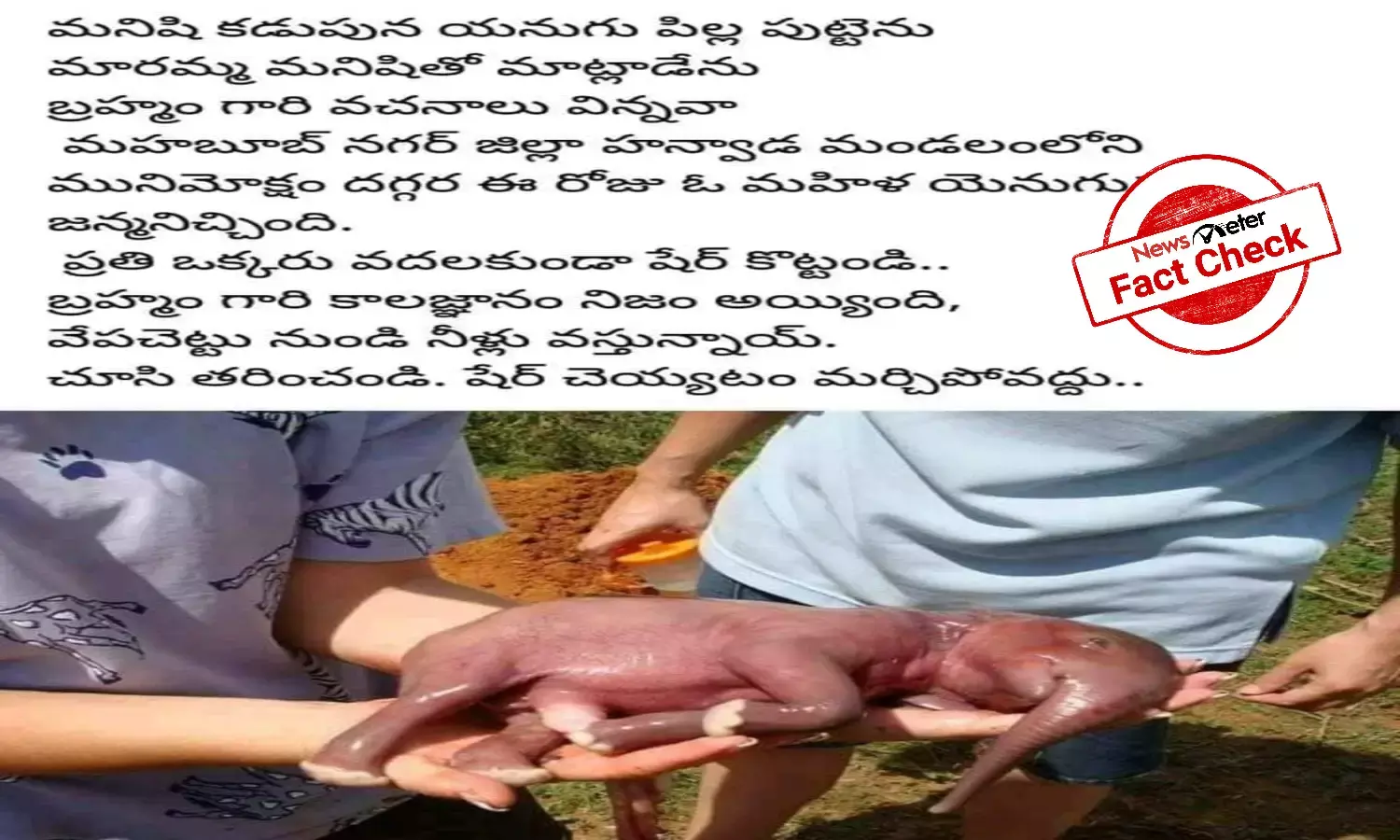 Fact Check: Mahabubnagar woman did not give birth to baby elephant, viral claims are false