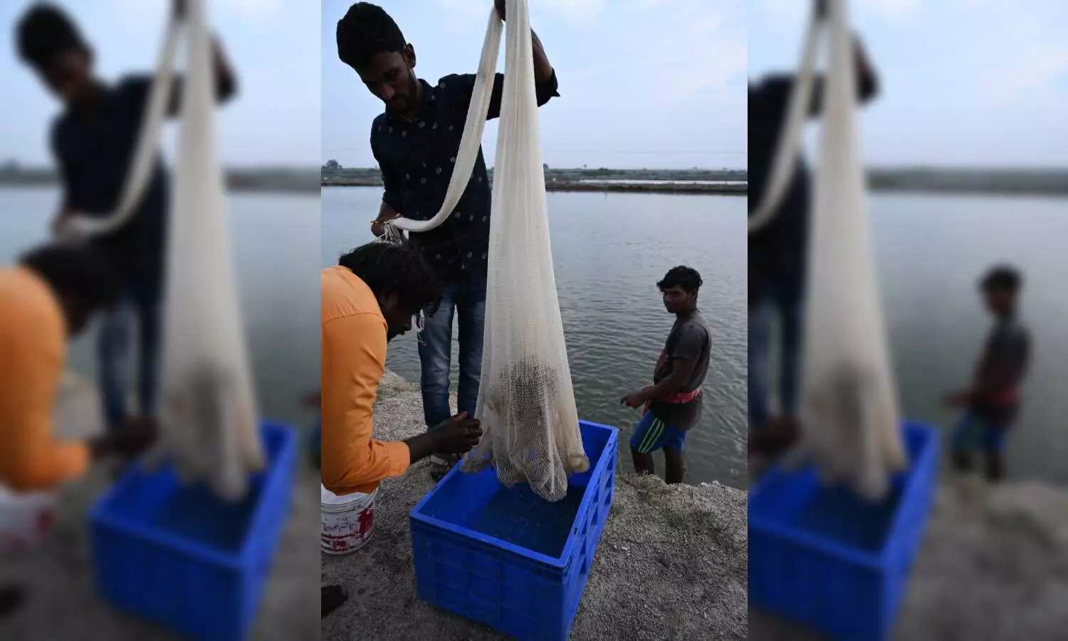 Hyderabad Fishing Videos 2021  Hook fishing in indian river 