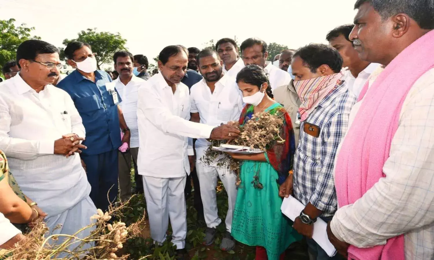Cultivate groundnut, cotton, others instead of paddy: KCR to farmers