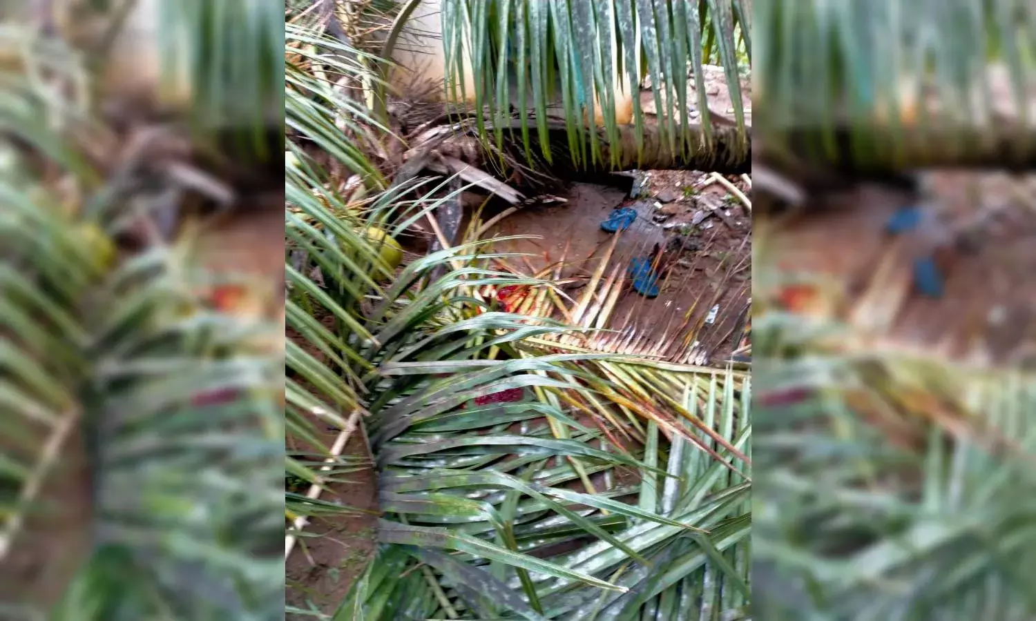 Relief for north coastal AP as cyclone Jawad weakens into deep depression with moderate rains
