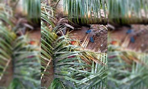 Relief for north coastal AP as cyclone Jawad weakens into deep depression with moderate rains