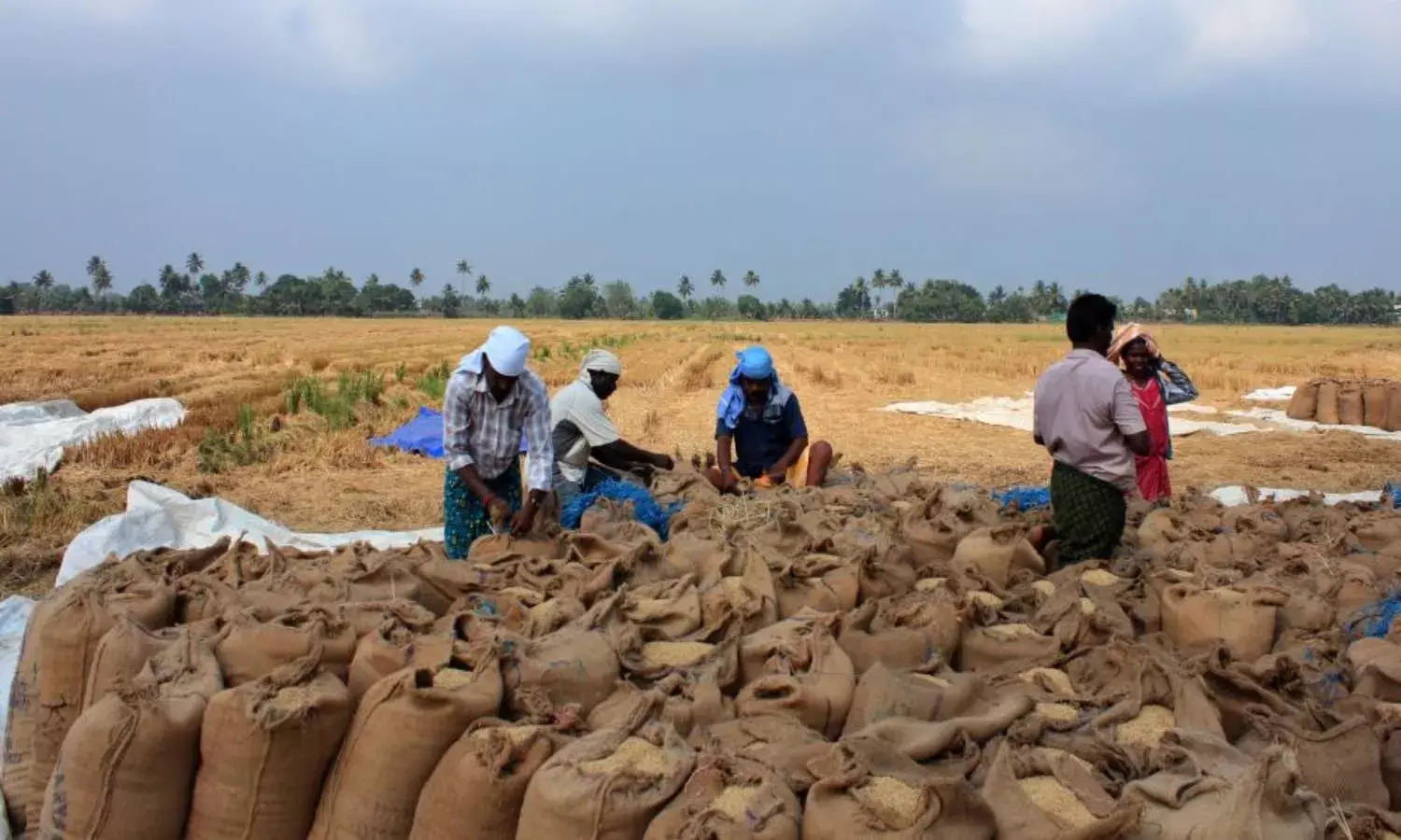 Paddy crisis: 70YO farmer dies, protests rock Abadi Jammikunta procurement center