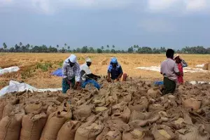 Paddy crisis: 70YO farmer dies, protests rock Abadi Jammikunta procurement center Paddy crisis: 70YO farmer dies, protests rock Abadi Jammikunta procurement center