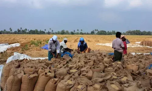 Paddy crisis: 70YO farmer dies, protests rock Abadi Jammikunta procurement center