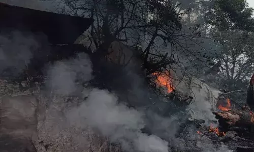 CDS chopper crash: General Rawat among 13 killed in Tamil Nadu