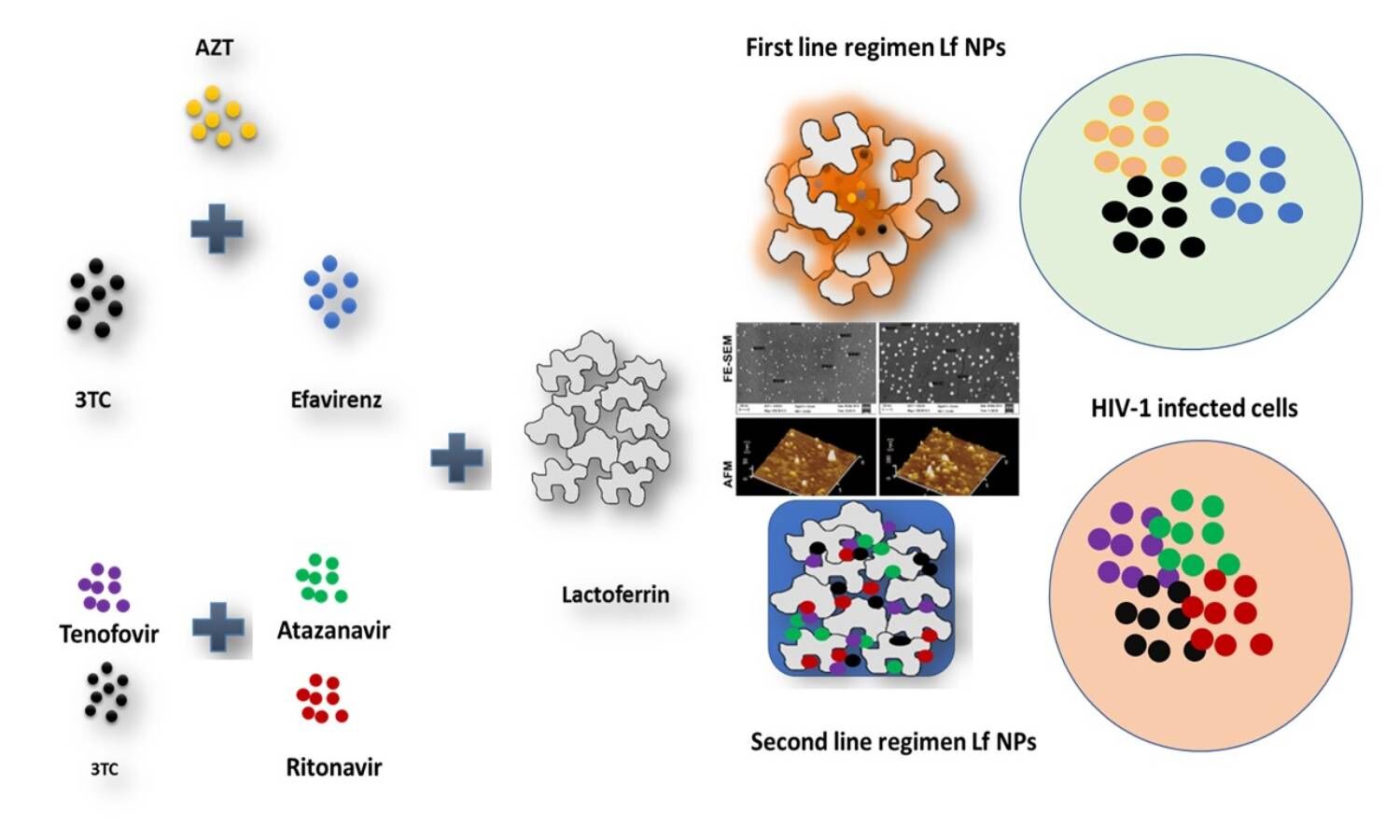 UoH Granted Patent For HIV Drug Combination Efficacy Enhancers