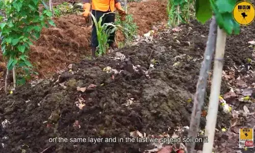 MANUU documentary on biofertilizer wins award at India International Science Film Festival