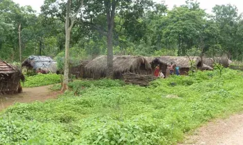 Tribal areas development: Andhra seeks CSR funds to build infra in Vizag
