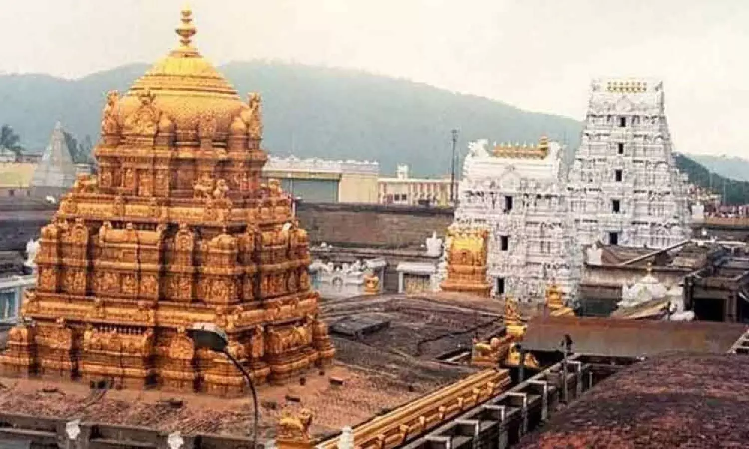 Solar power to BLDC fans: TTD to transform Tirumala, Tirupati into eco-friendly pilgrim center