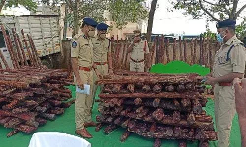 Red sandalwood worth Rs. 1.5 Cr seized from Chittoor; 18 smugglers arrested