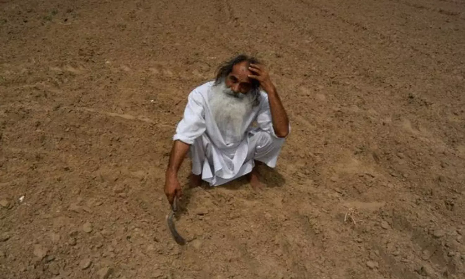 TS allots Rs. 7.95cr to pay ex-gratia to 133 families of deceased farmers