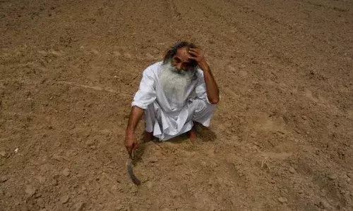 TS allots Rs. 7.95cr to pay ex-gratia to 133 families of deceased farmers